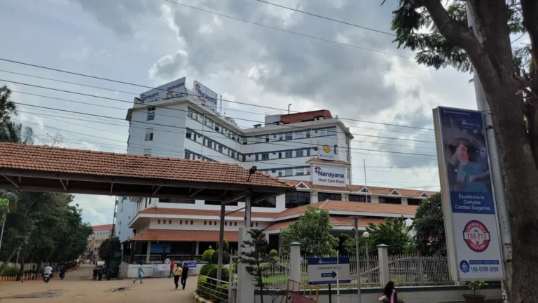 Infrastructure and connectivity in Bangalore’s Electronic City